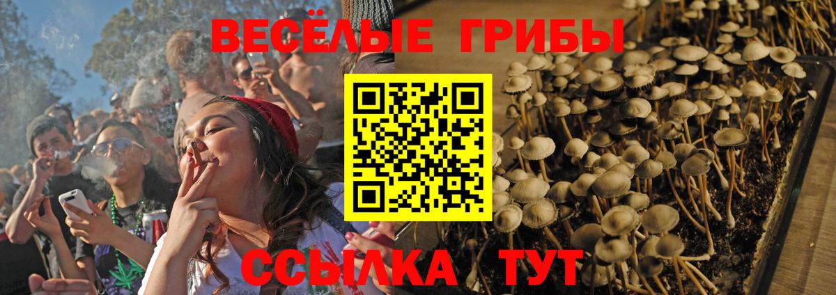 Псилоцибиновые грибы Magic Shrooms  Вход с VPN  Домодедово 